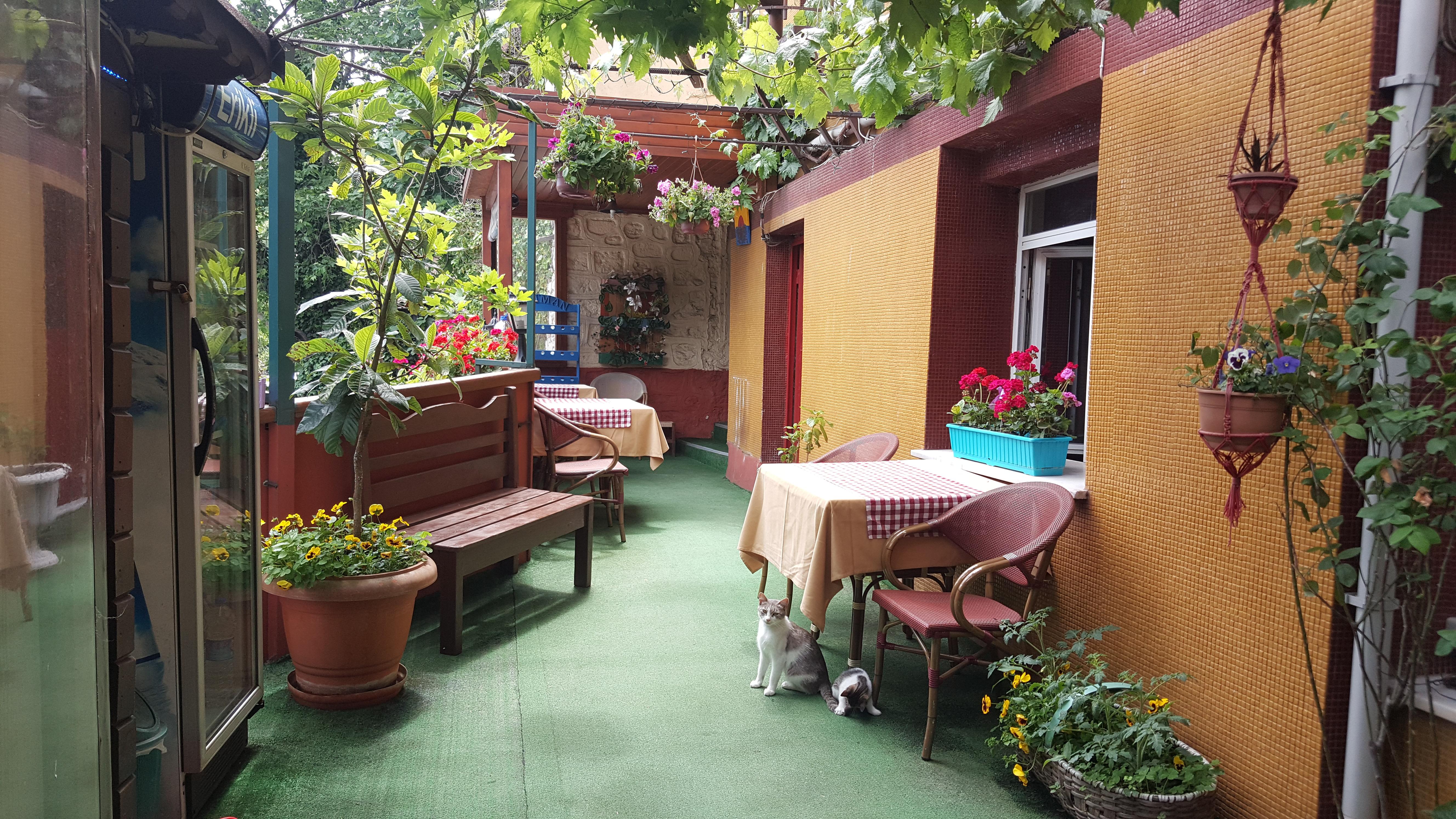 Anadolu B&B 3*